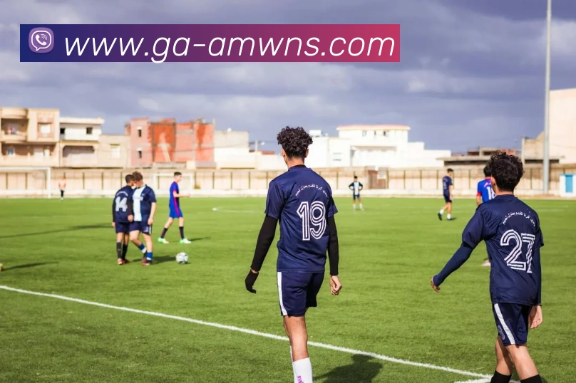 威尼斯人官网平台生态图