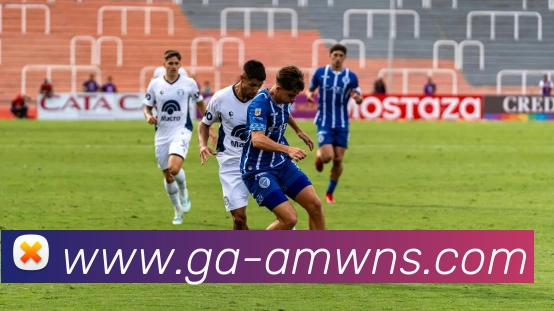 辅助工具 辅助工具